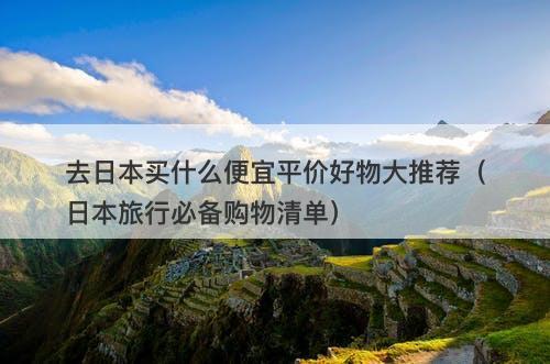 去日本买什么便宜平价好物大推荐(日本旅行必备购物清单)