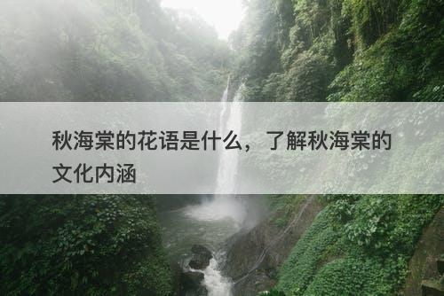 秋海棠的花语是什么，了解秋海棠的文化内涵