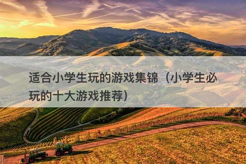 适合小学生玩的游戏集锦（小学生必玩的十大游戏推荐）
