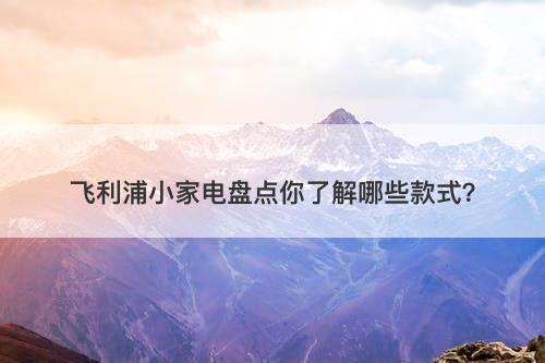 飞利浦小家电盘点你了解哪些款式？