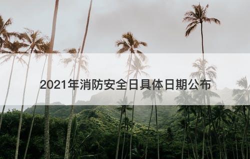 2021年消防安全日具体日期公布