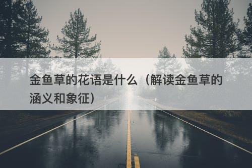 金鱼草的花语是什么（解读金鱼草的涵义和象征）