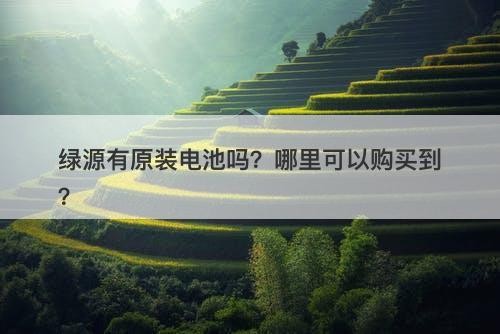 绿源有原装电池吗？哪里可以购买到？