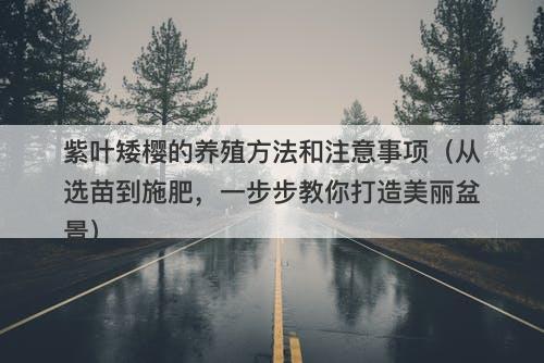紫叶矮樱的养殖方法和注意事项（从选苗到施肥，一步步教你打造美丽盆景）
