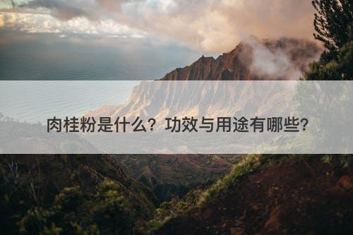 肉桂粉是什么？功效与用途有哪些？