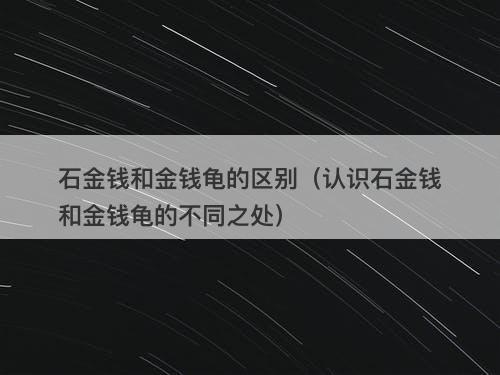 石金钱和金钱龟的区别（认识石金钱和金钱龟的不同之处）
