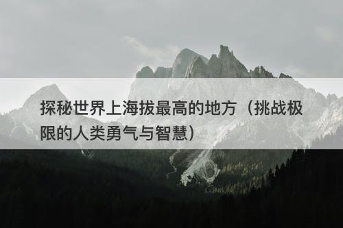 探秘世界上海拔最高的地方（挑战极限的人类勇气与智慧）