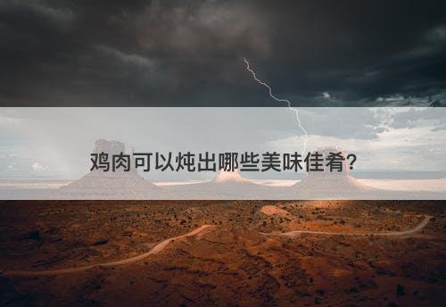 鸡肉可以炖出哪些美味佳肴？