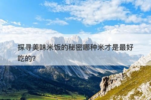 探寻美味米饭的秘密哪种米才是最好吃的？