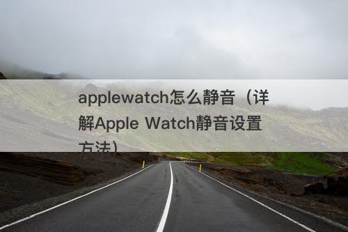 applewatch怎么静音（详解Apple Watch静音设置方法）