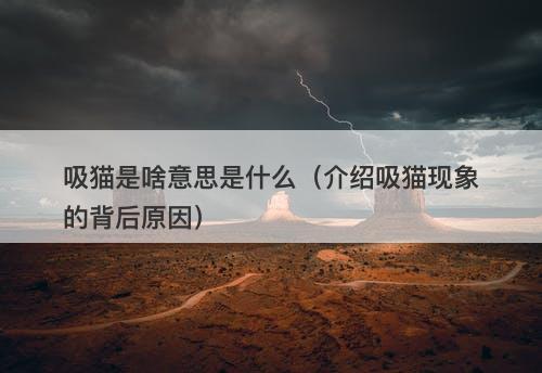 吸猫是啥意思是什么（介绍吸猫现象的背后原因）