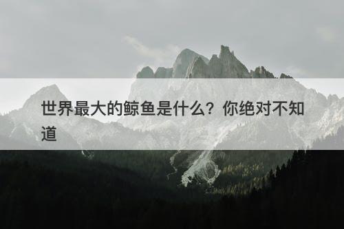 世界最大的鲸鱼是什么？你绝对不知道