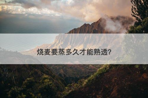 烧麦要蒸多久才能熟透？