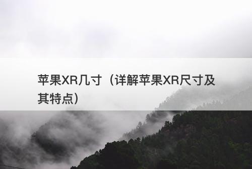 苹果XR几寸（详解苹果XR尺寸及其特点）
