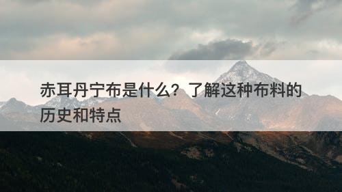赤耳丹宁布是什么？了解这种布料的历史和特点