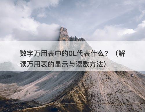数字万用表中的0L代表什么？（解读万用表的显示与读数方法）-图1
