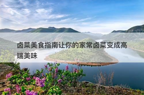 卤菜美食指南让你的家常卤菜变成高端美味-图1