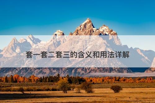 套一套二套三的含义和用法详解-图1