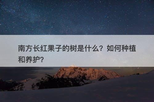 南方长红果子的树是什么？如何种植和养护？
