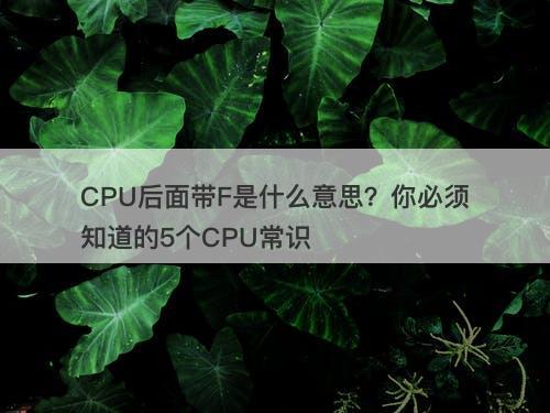 CPU后面带F是什么意思？你必须知道的5个CPU常识