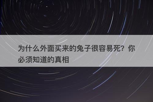 为什么外面买来的兔子很容易死？你必须知道的真相
