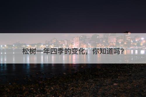 松树一年四季的变化，你知道吗？