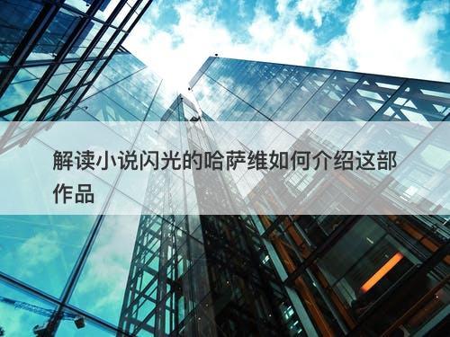 解读小说闪光的哈萨维如何介绍这部作品