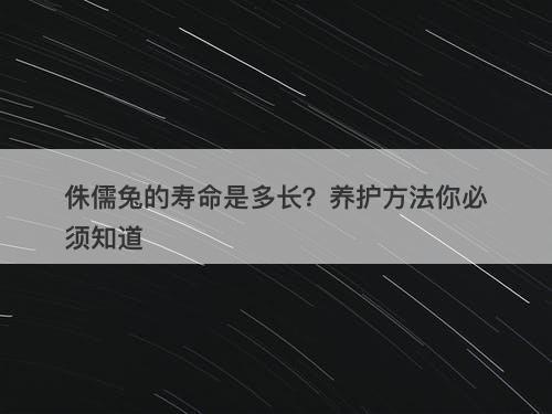 侏儒兔的寿命是多长？养护方法你必须知道