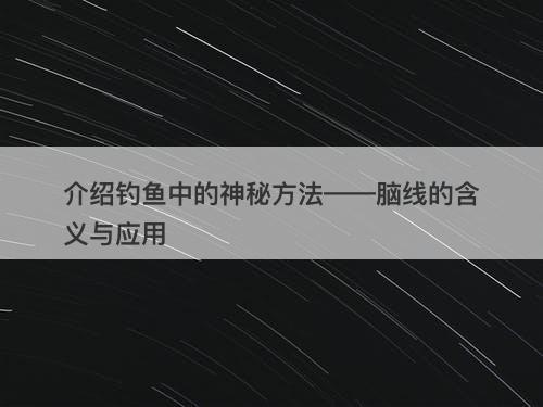介绍钓鱼中的神秘方法——脑线的含义与应用