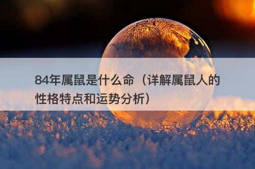 84年属鼠是什么命（详解属鼠人的性格特点和运势分析）