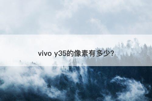 vivo y35的像素有多少？