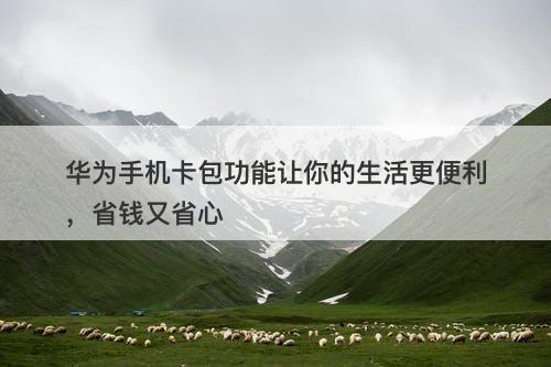 华为手机卡包功能让你的生活更便利，省钱又省心