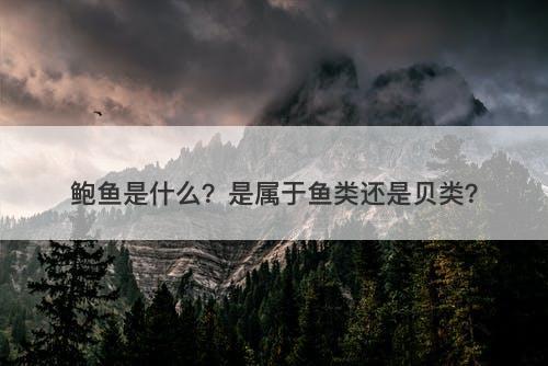 鲍鱼是什么？是属于鱼类还是贝类？