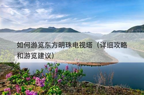 如何游览东方明珠电视塔（详细攻略和游览建议）