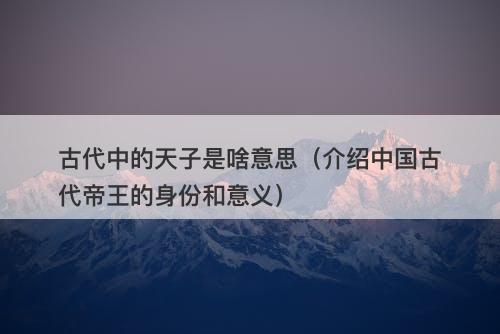 古代中的天子是啥意思（介绍中国古代帝王的身份和意义）
