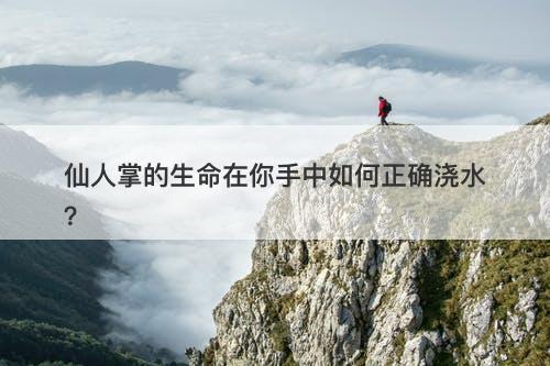 仙人掌的生命在你手中如何正确浇水？