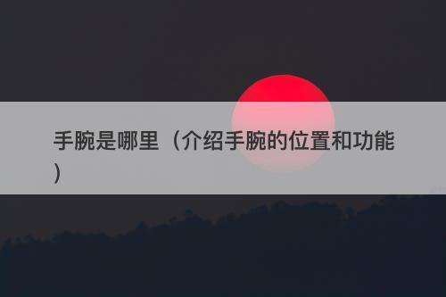 手腕是哪里（介绍手腕的位置和功能）