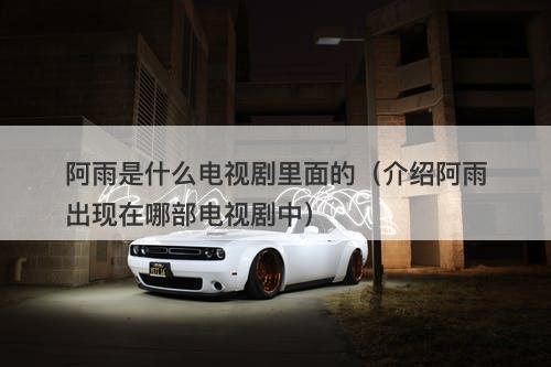 阿雨是什么电视剧里面的（介绍阿雨出现在哪部电视剧中）