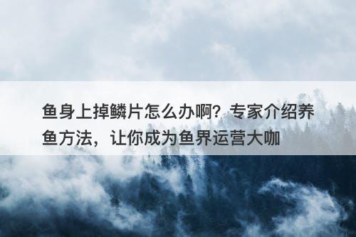 鱼身上掉鳞片怎么办啊？专家介绍养鱼方法，让你成为鱼界运营大咖