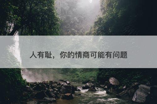 人有耻，你的情商可能有问题