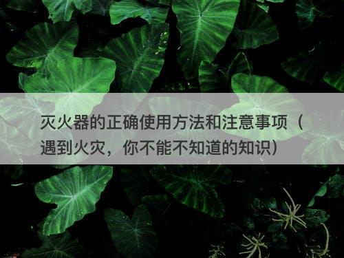 灭火器的正确使用方法和注意事项（遇到火灾，你不能不知道的知识）