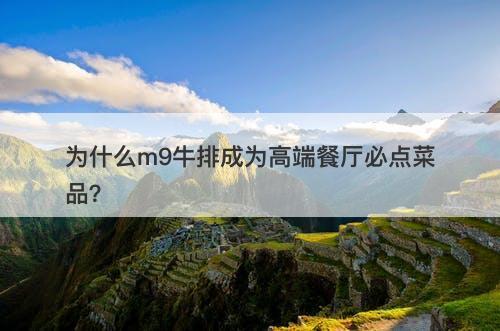为什么m9牛排成为高端餐厅必点菜品？