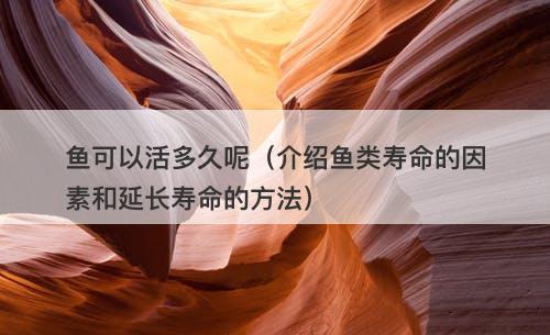 鱼可以活多久呢（介绍鱼类寿命的因素和延长寿命的方法）