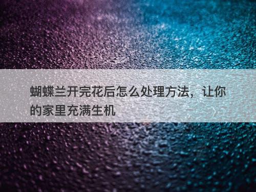 蝴蝶兰开完花后怎么处理方法，让你的家里充满生机