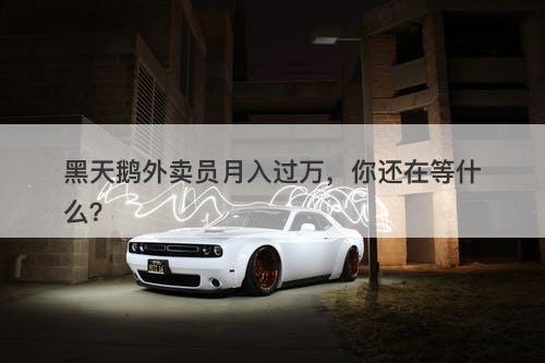 黑天鹅外卖员月入过万，你还在等什么？
