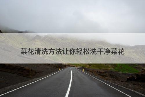 菜花清洗方法让你轻松洗干净菜花