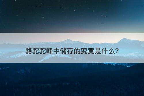 骆驼驼峰中储存的究竟是什么？