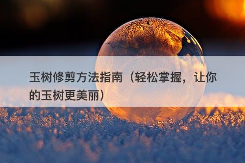 玉树修剪方法指南（轻松掌握，让你的玉树更美丽）