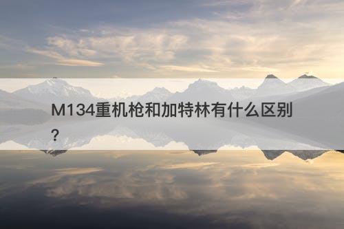 M134重机枪和加特林有什么区别？