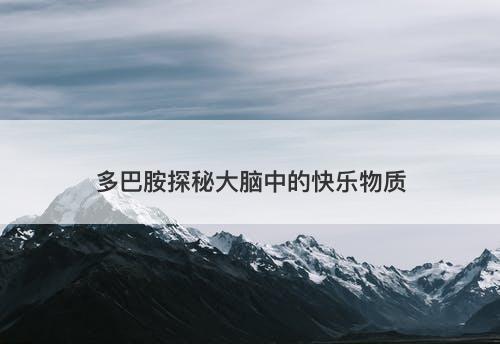 多巴胺探秘大脑中的快乐物质